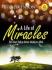 A Life Of Miracles